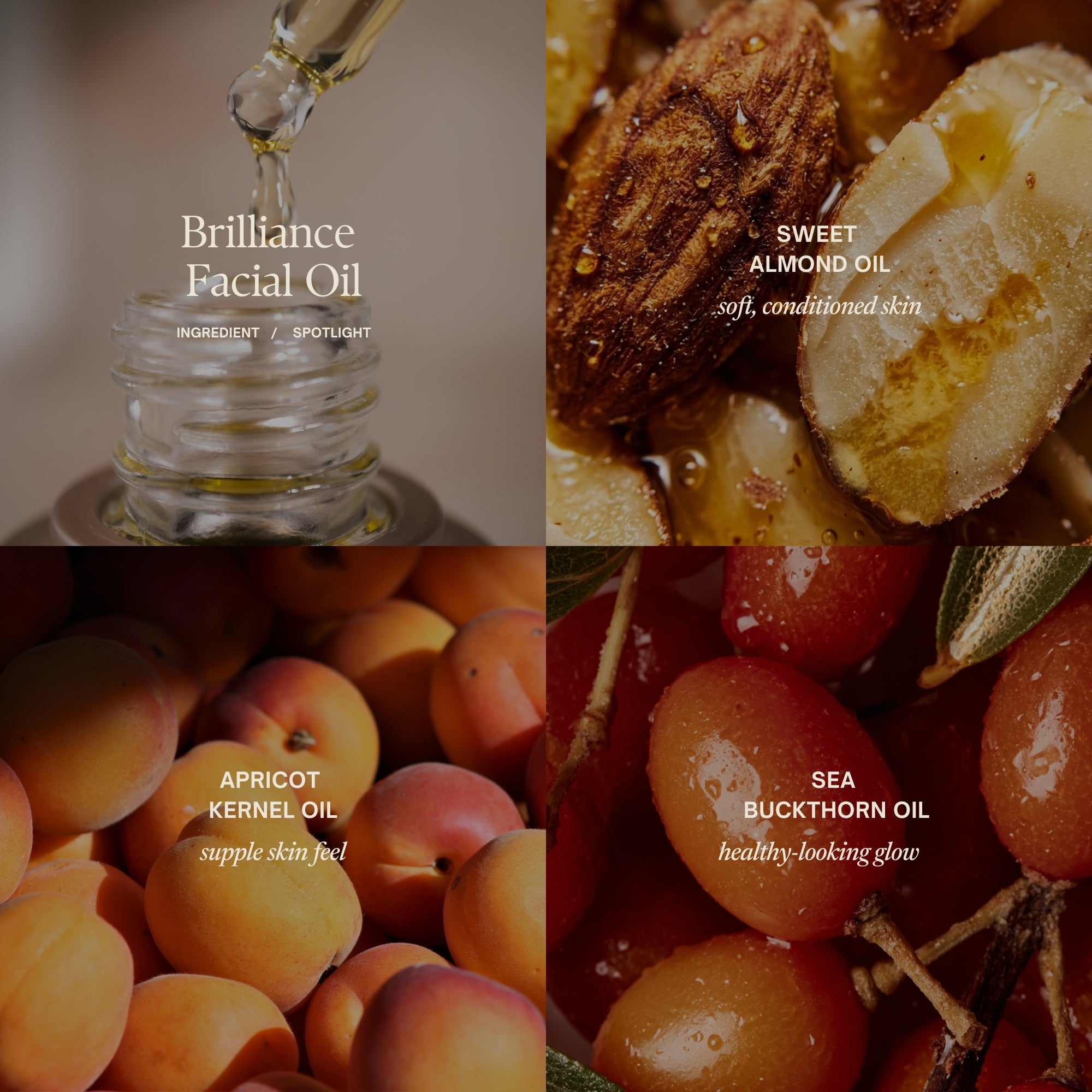 Ingredient spotlight
Brilliance Facial Oil
Sweet almond oil
soft, conditioned skin
Apricot kernel oil
supple skin feel
Sea buckthorn oil
healthy-looking glow