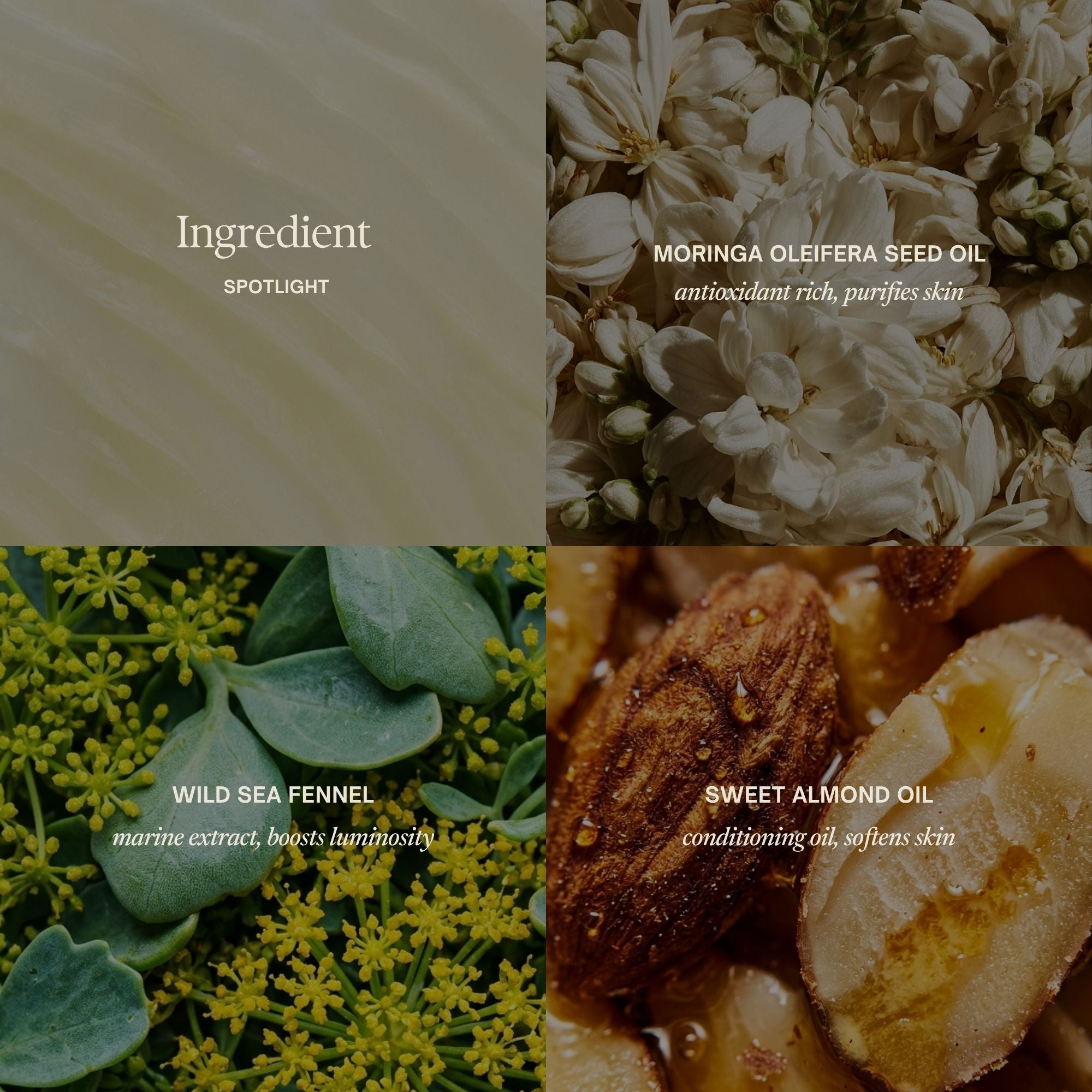 Ingredient highlights image
Moringa Seed Extract
Softens and supports comfort.
Wild Sea Fennel
Refreshes tired-looking skin.
Sweet Almond Oil
Nourishes and conditions.