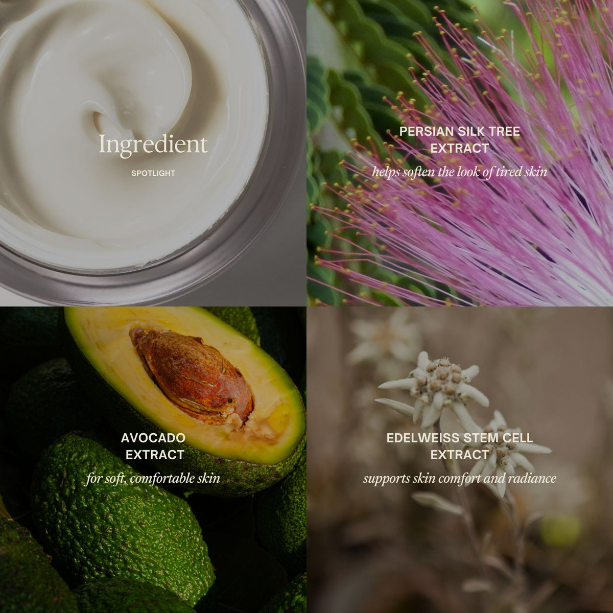 Midas Touch ingredient collage featuring avocado and botanical extracts alongside the Revitalising Cream.