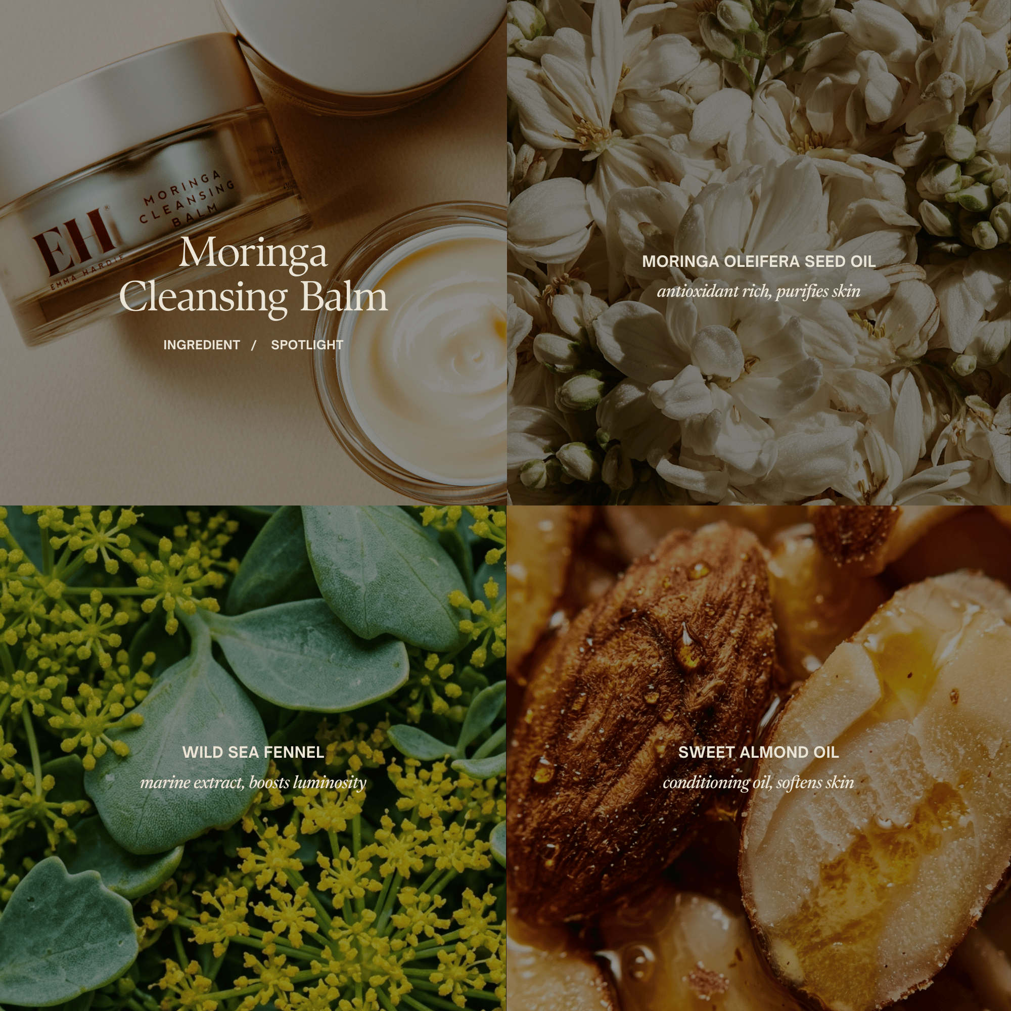 Moringa Cleansing Balm ingredient spotlight featuring moringa oleifera seed oil, wild sea fennel and sweet almond oil.