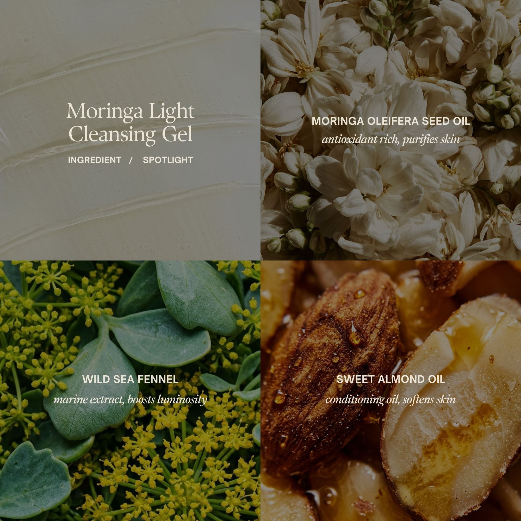 Moringa Light Cleansing Gel ingredient spotlight:
MORINGA OLEIFERA SEED OIL antioxidant rich, purifies skin
Wild sea fennel
marine extract, boosts luminosity
Sweet almond oil
conditioning oil, softens skin
