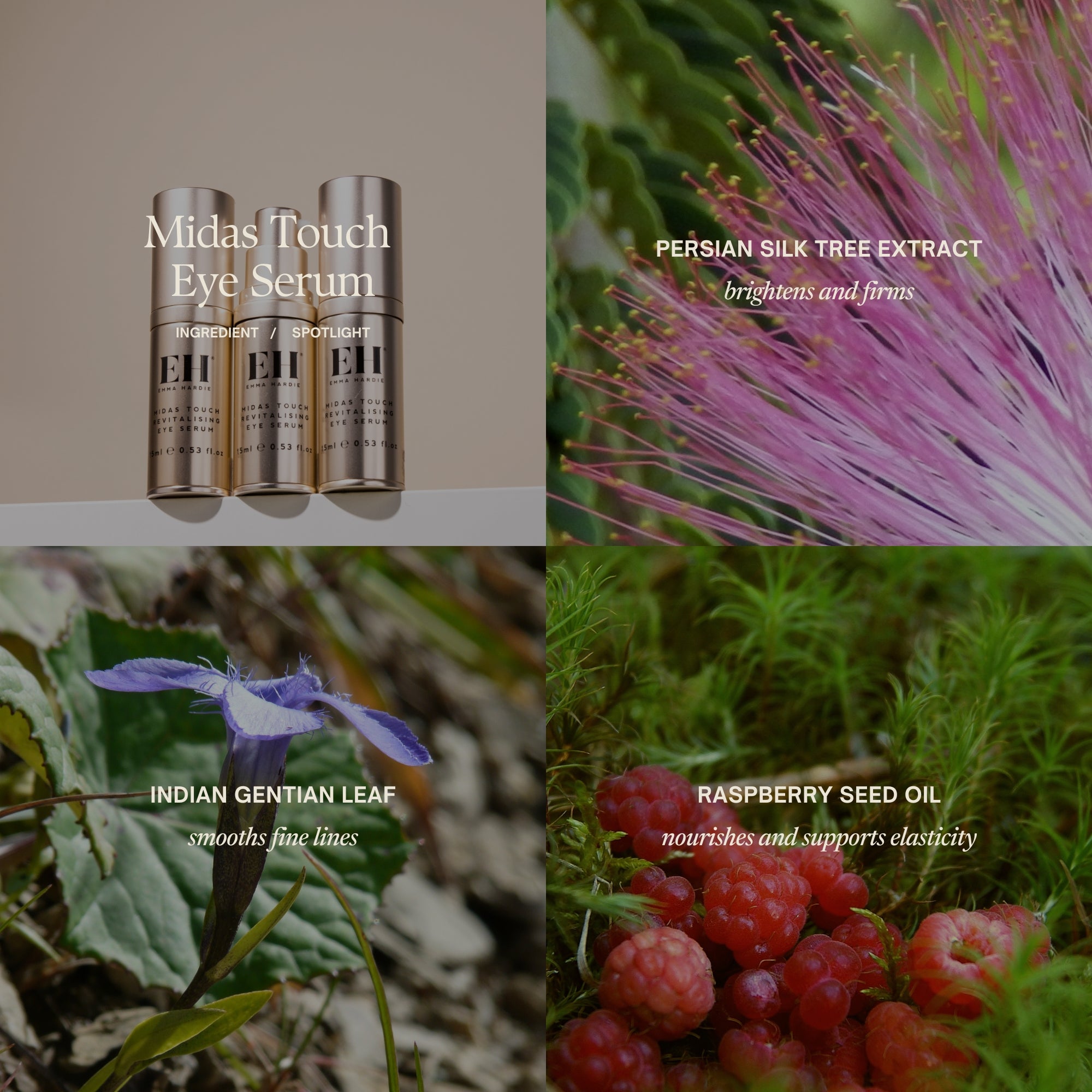 Midas Touch Revitalising Cream Key Ingredients:
Persian silk tree extract brightens and firms
Indian Gentian Leaf smooths fine lines
Raspberry Seed Oil nourishes and supports elasticity