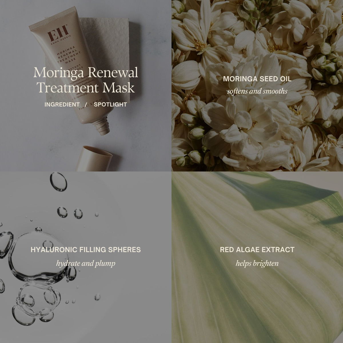 Ingredient spotlight
Moringa Renewal Treatment Mask
MORINGA SEED OIL
softens and smooths
HYALURONIC FILLING SPHERES
hydrate and plump
RED ALGAE EXTRACT
helps brighten