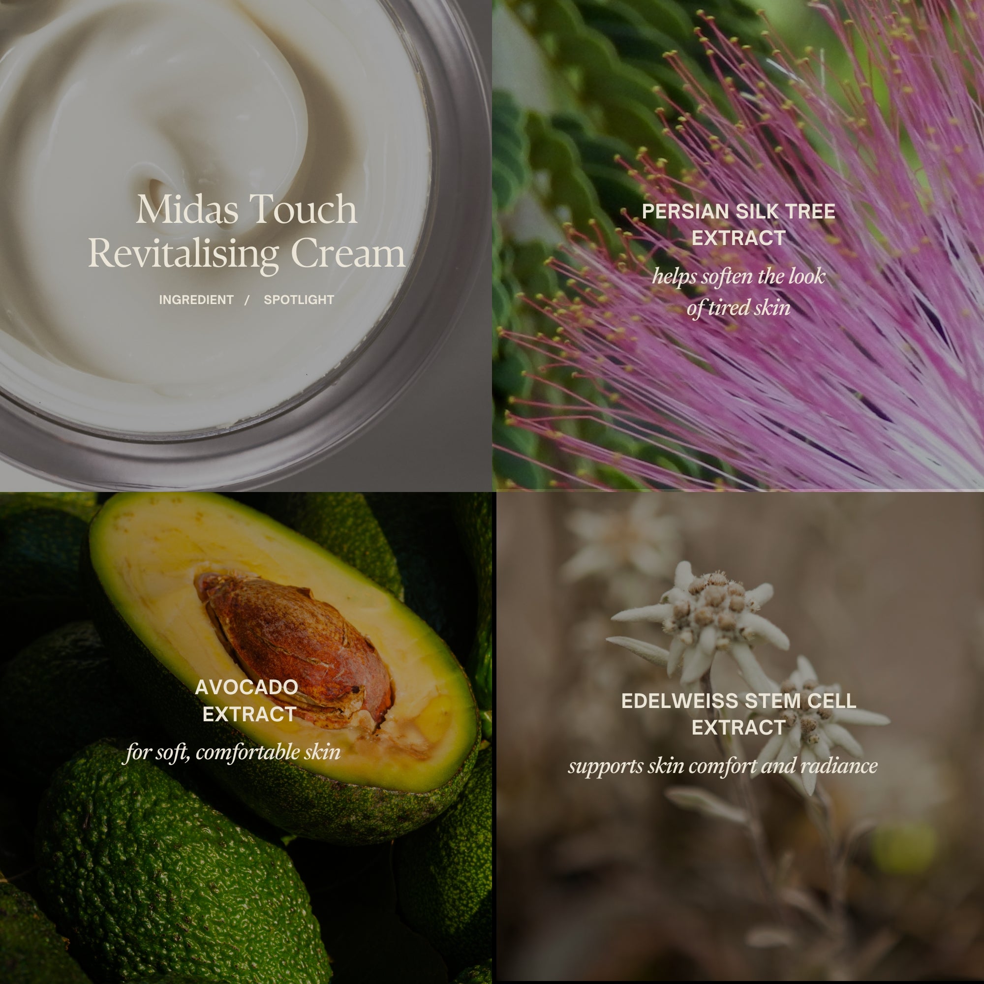 Midas Touch Revitalising Cream Ingredient Spotlight:
Persian silk tree extract helps soften the look of tired skin
Avocado extract for soft, comfortable skin
Edelweiss stem cell extract supports skin comfort and radiance