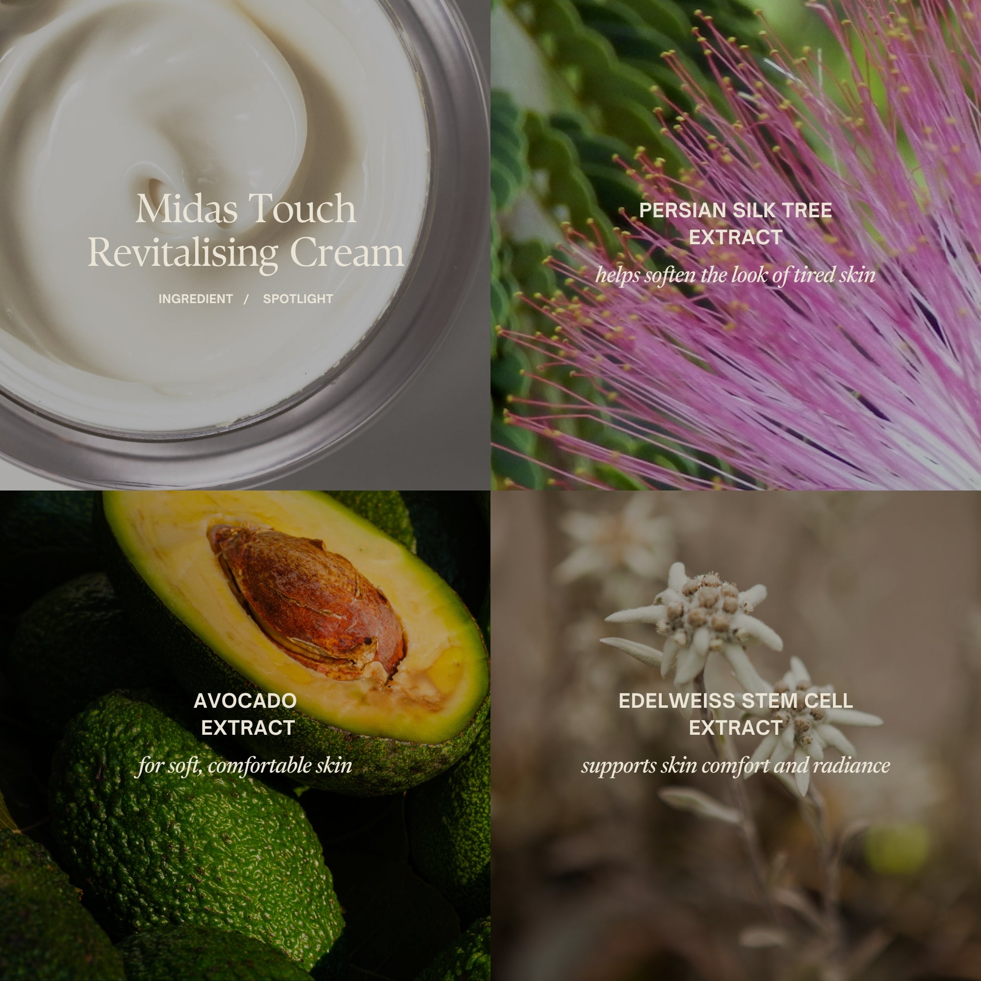 Miads Touch Revitalising Cream Ingredient Spotlight
Persian silk tree extract helps soften the look of tired skin
Avocado extract for soft, comfortable skin
Edelweiss stem cell extract supports skin comfort and radiance