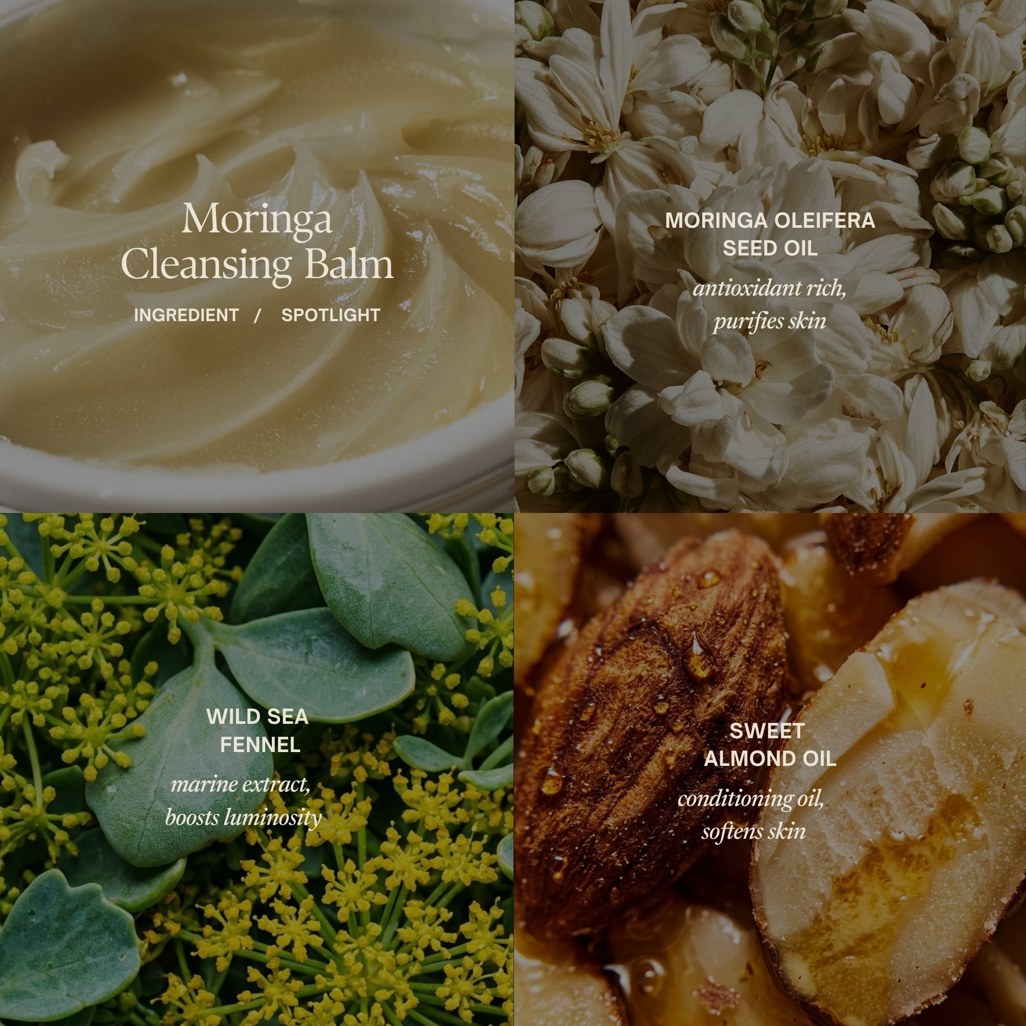Moringa Balm Ingredient Spotlight
MORINGA OLEIFERA SEED OIL
antioxidant rich, purifies skin
WILD SEA FENNEL
marine extract,
boosts luminosity
SWEET ALMOND OIL
conditioning oil,
softens skin