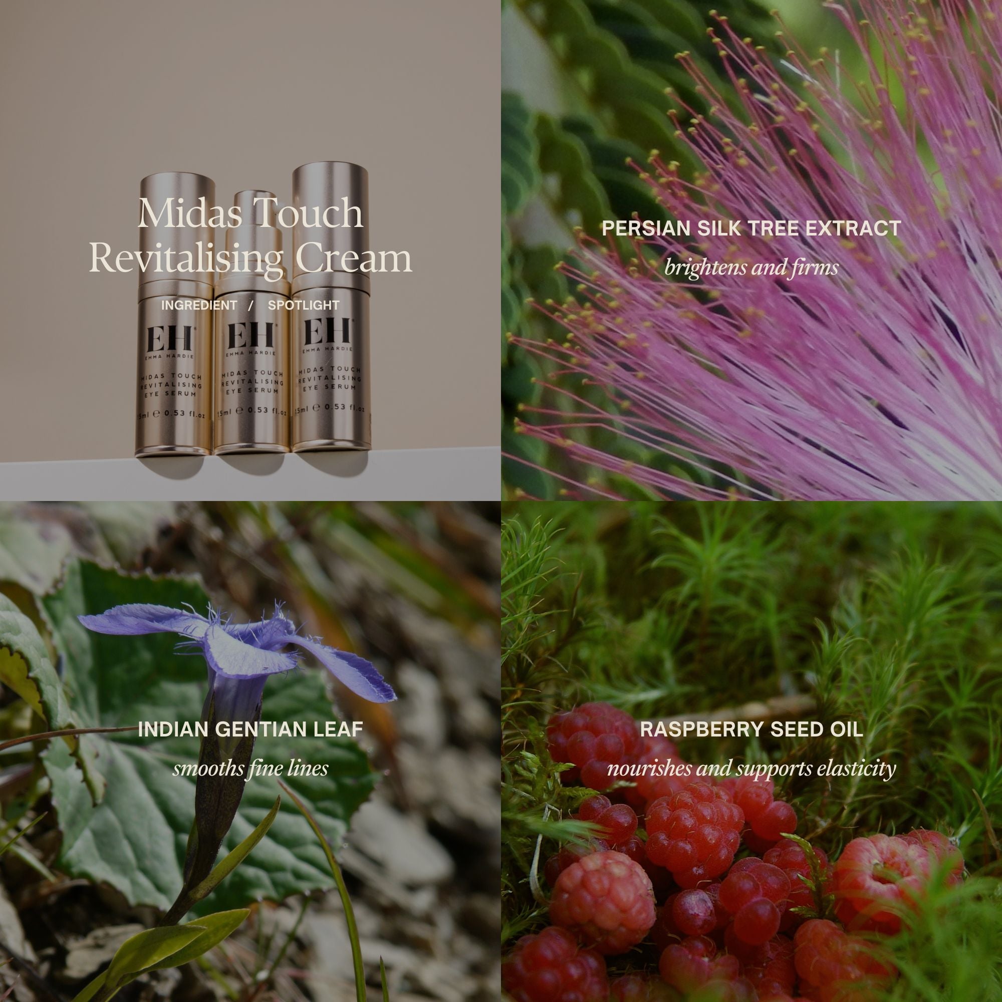 Midas Touch Revitalising Cream Key Ingredients:
Persian silk tree extract brightens and firms
 Indian Gentian Leaf smooths fine lines
Raspberry Seed Oil nourishes and supports elasticity