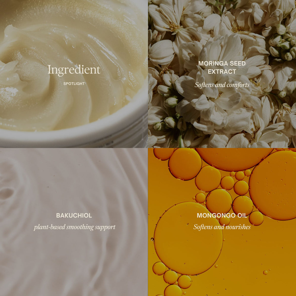 Ingredient spotlight: Moringa Seed Extract
Softens and comforts
Bakuchiol
Smooths and firms
Mongongo Oil