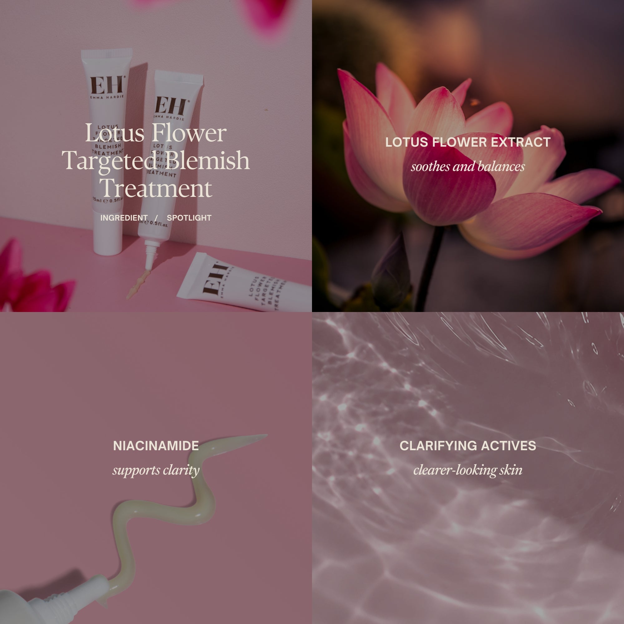 Ingredient spotlight
Lotus Flower Targeted Blemish Treatment

Lotus flower extract
soothes and balances

Niacinamide
supports clarity

Clarifying actives
clearer-looking skin