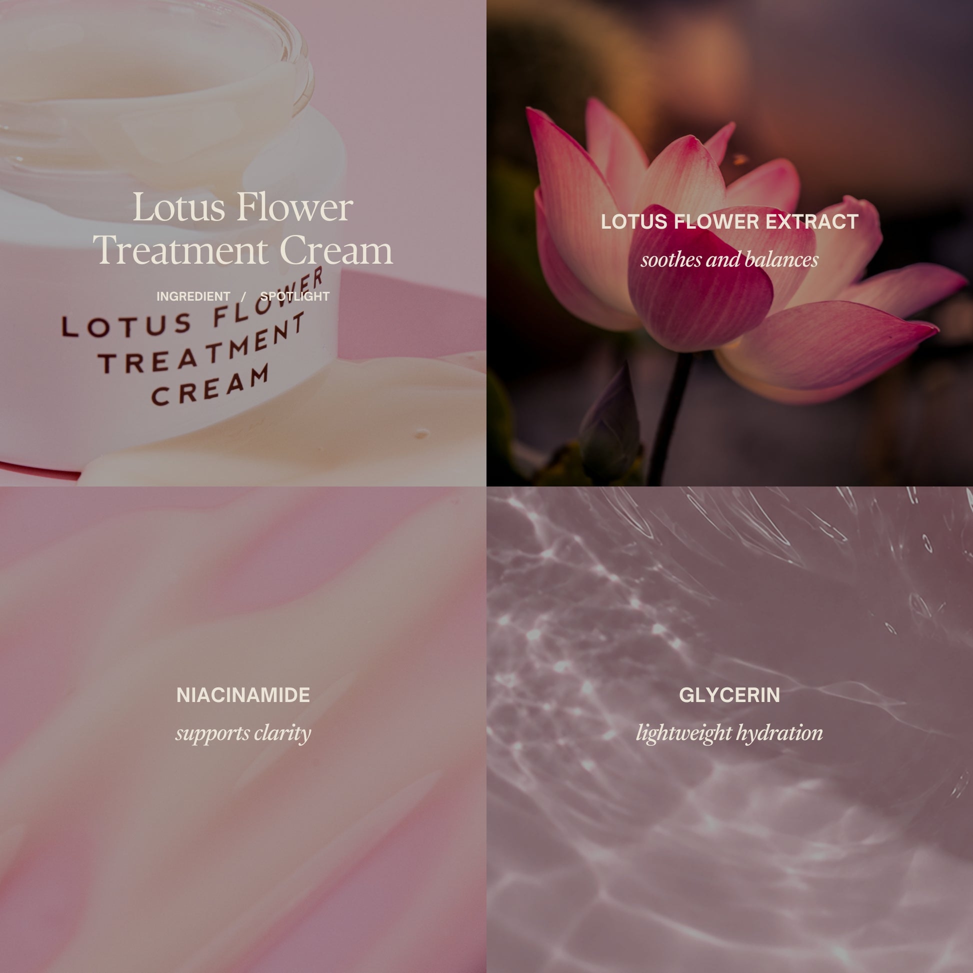 Ingredient spotlight

Lotus Flower Treatment Cream

Lotus flower extract
soothes and balances

Niacinamide
supports clarity

Glycerin
lightweight hydration