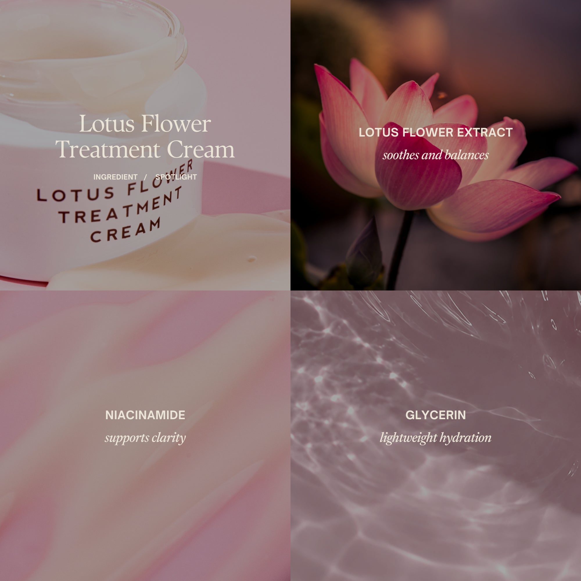 Ingredient spotlight

Lotus Flower Treatment Cream

Lotus flower extract
soothes and balances

Niacinamide
supports clarity

Glycerin
lightweight hydration